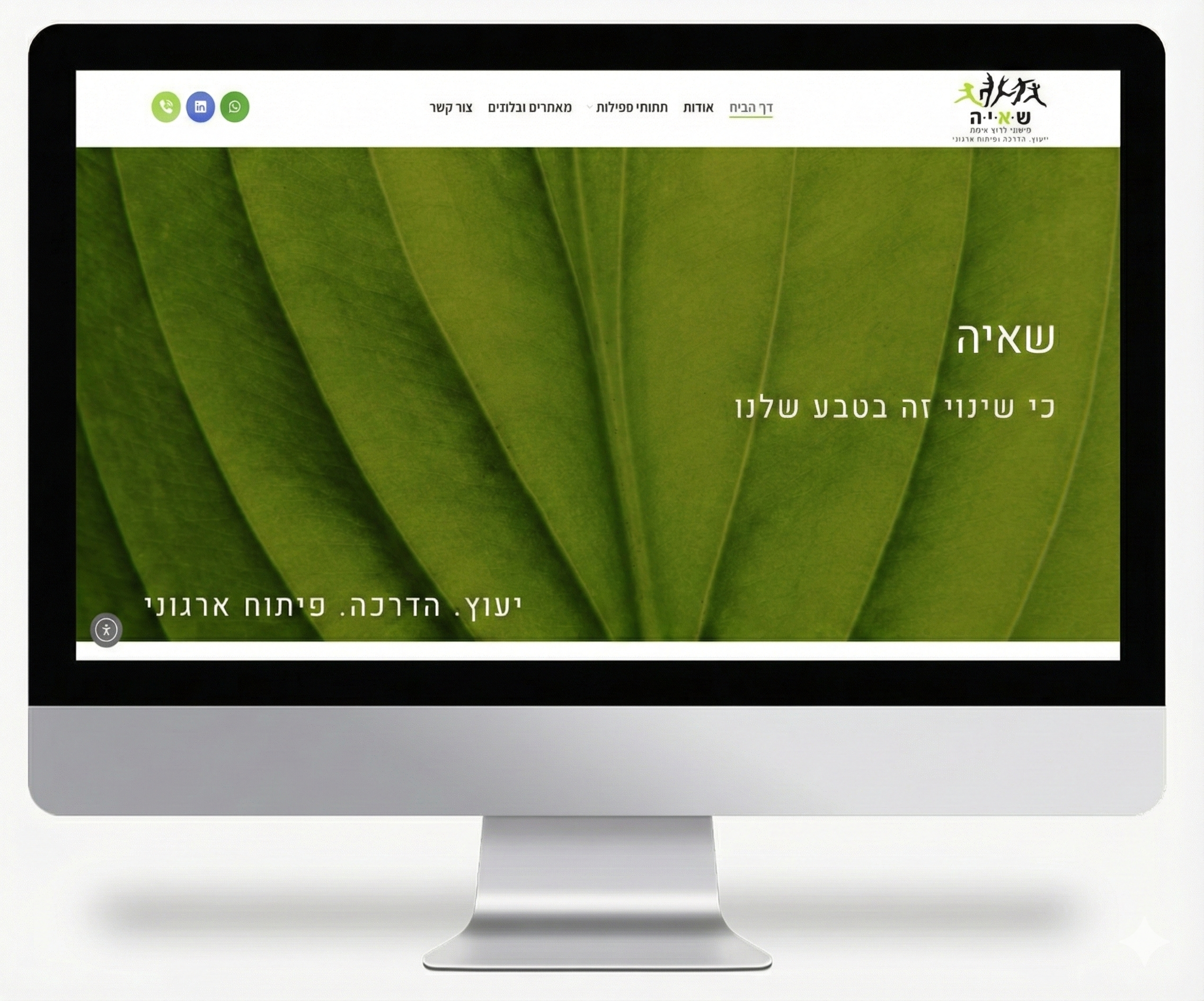 קידום אתר לחברת ''שאיה''